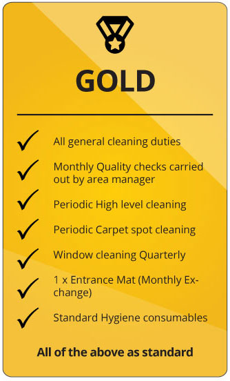 Comserve Ltd Gold Cleaning Package