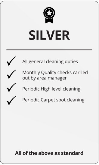 silver-package Comserve Ltd Silver Cleaning Package